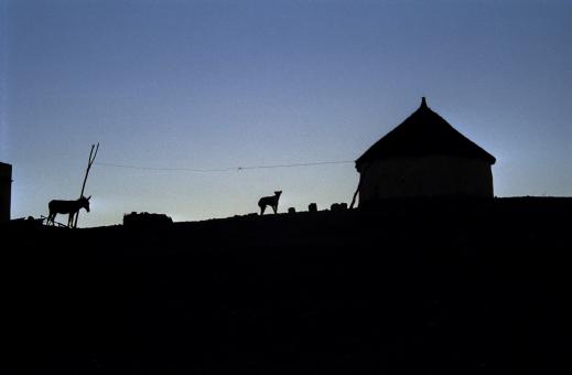 Sur un ciel bleu d'aurore, silhouettes en contrejour d'un âne, d'un chien et d'une case au toit de chaume. Keren, Erythrée, mars 2005.
