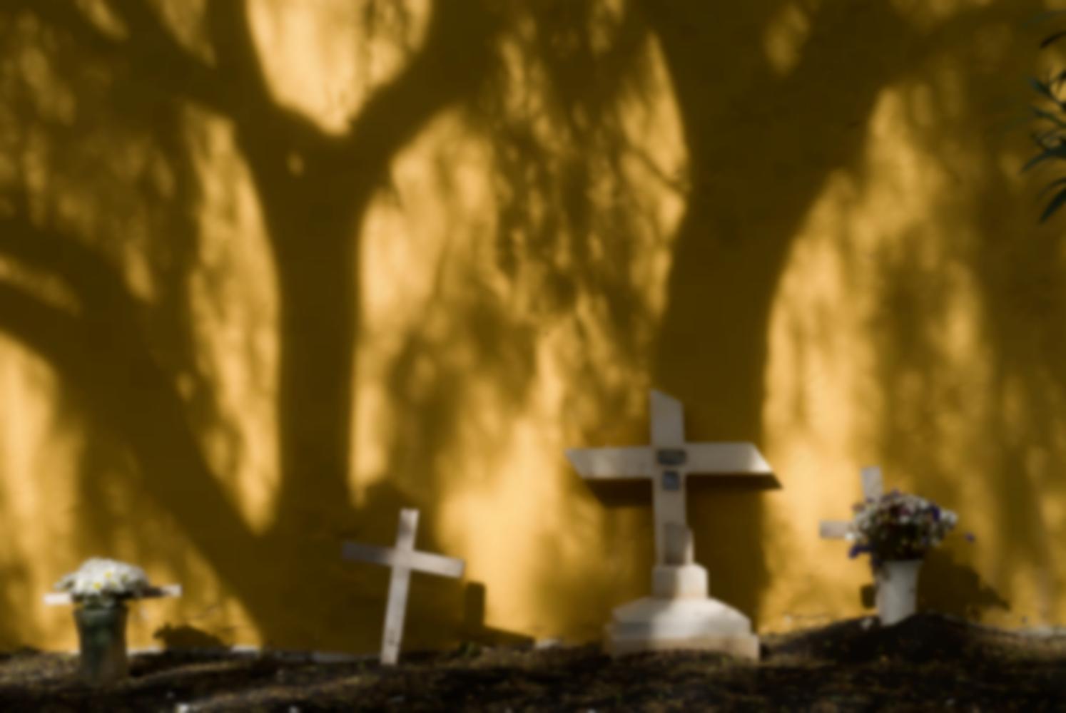 Croix blanches au pied d'un mur jaune ombragé par des arbres dans un cimetière. Ténérife, Canaries, janvier 2010.
