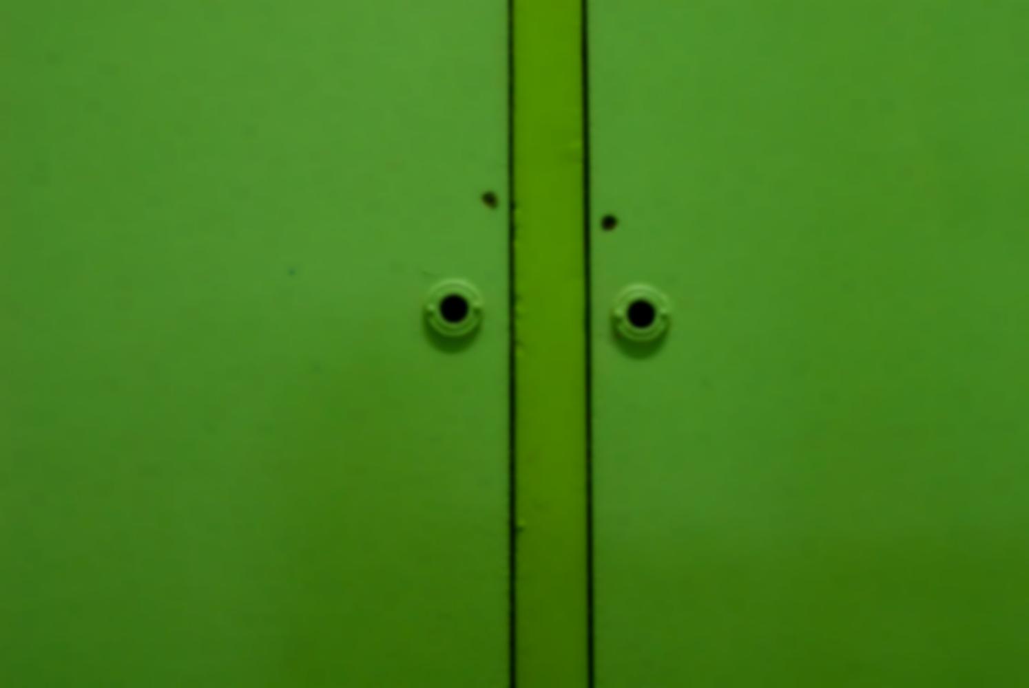 Dans les escaliers de la bibliothèque Valeyre, deux portes de placard peintes en vert. Paris, novembre 2009.