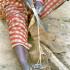 Un pied et les mains de Rakia en train de couper une lanière de peau. Bosseye Dogabe, Burkina Faso, mai 2008.