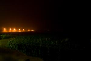 Les vignes de nuit, et au fond un alignement de lumières oranges de réverbères qui se fondent dans la brume. Chassagne-Montrachet, Bourgogne, septembre 2009.