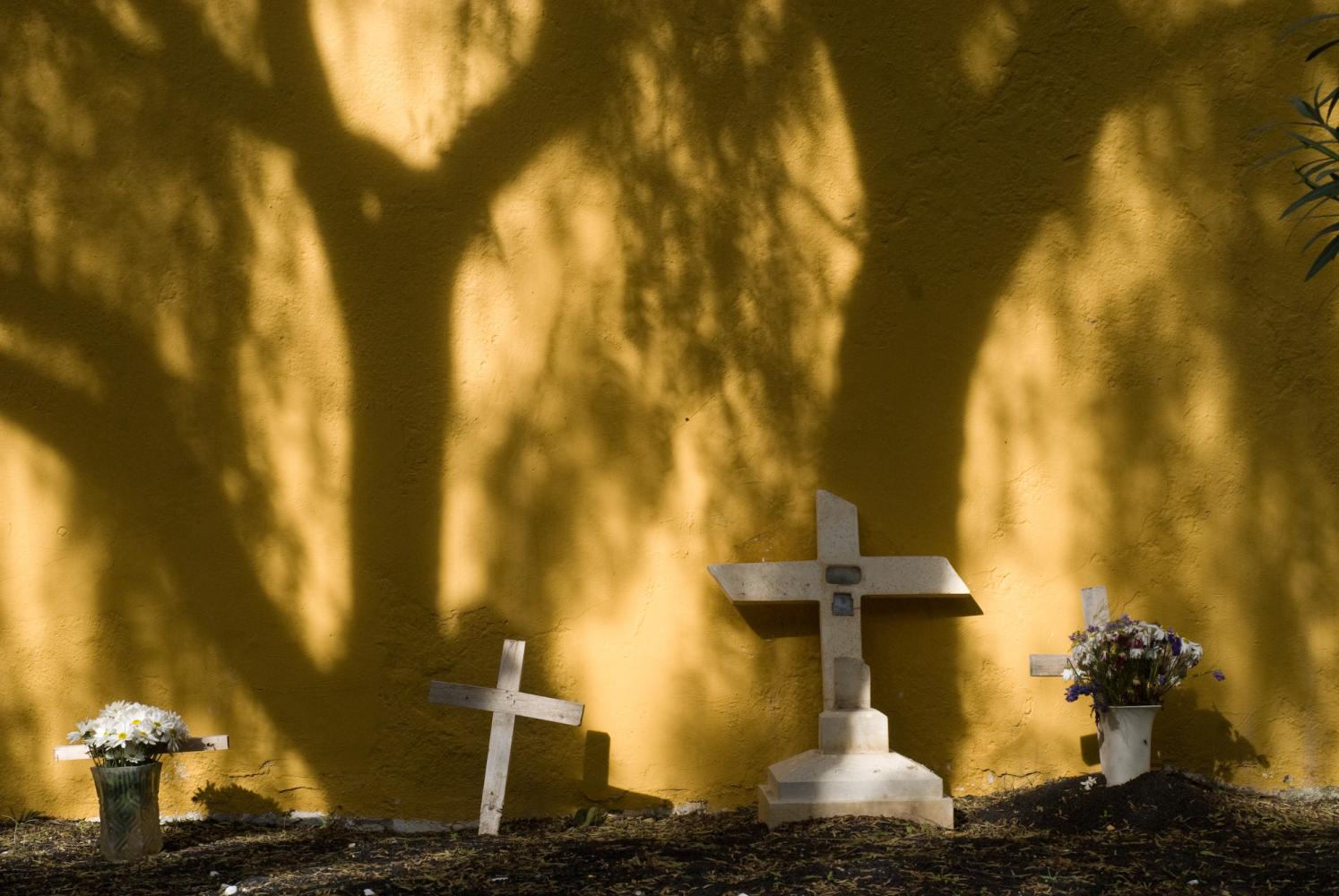Croix blanches au pied d'un mur jaune ombragé par des arbres dans un cimetière. Ténérife, Canaries, janvier 2010.
