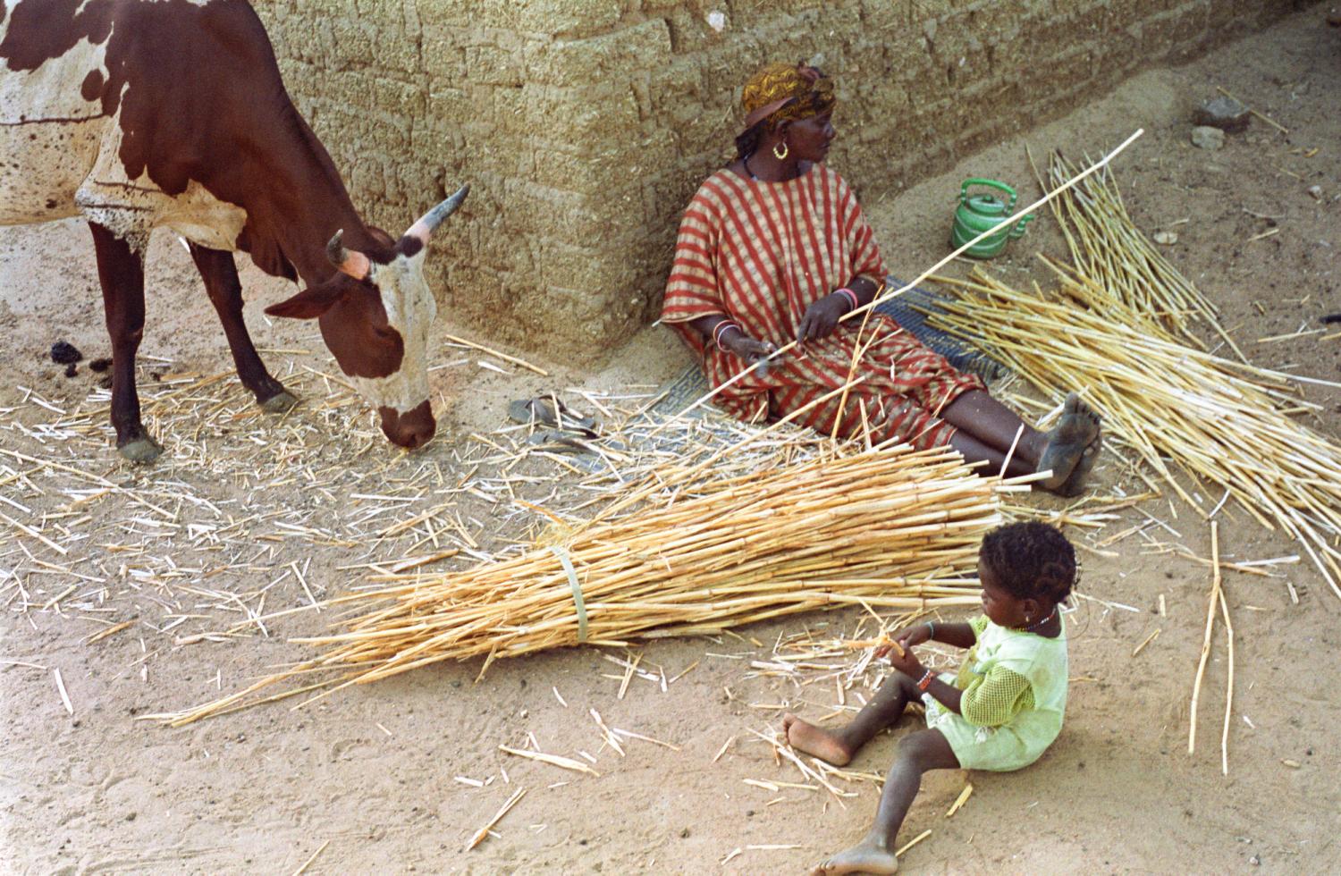 A l'ombre d'un mur, Rakia élague des cannes de mil, sa petite-fille joue avec les miettes qu'une vache broute de son côté. Bosseye Dogabe, Burkina Faso, mai 2008.
