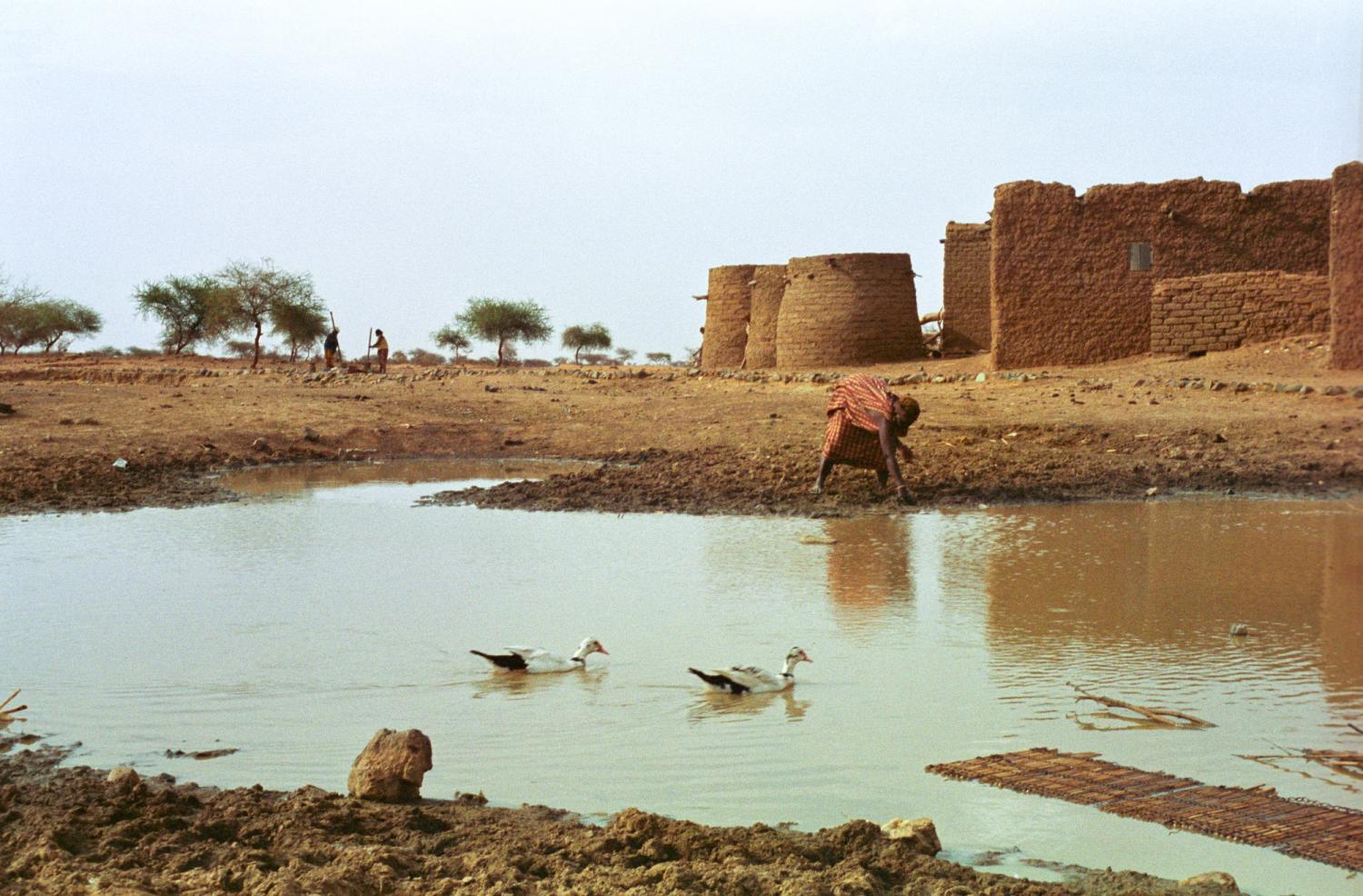 Deux canards sur le marigot, Rakia baissée pour tremper les lanières de cuir dans la boue, et derrière, quelques édifices en banco du village. Bosseye Dogabe, Burkina Faso, mai 2008.