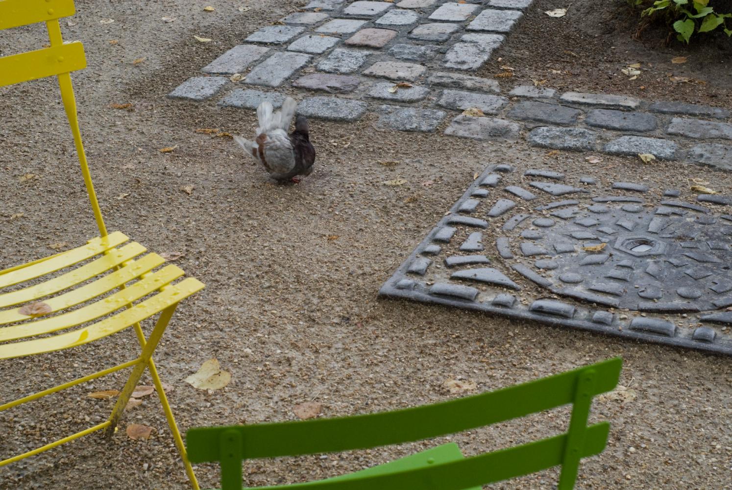 Une chaise pliante jaune, une autre verte, et derrière, un pigeon qui s'ébroue sur le sable mouillé, entre une plaque d’égout et quelques pavés. Paris, août 2010.