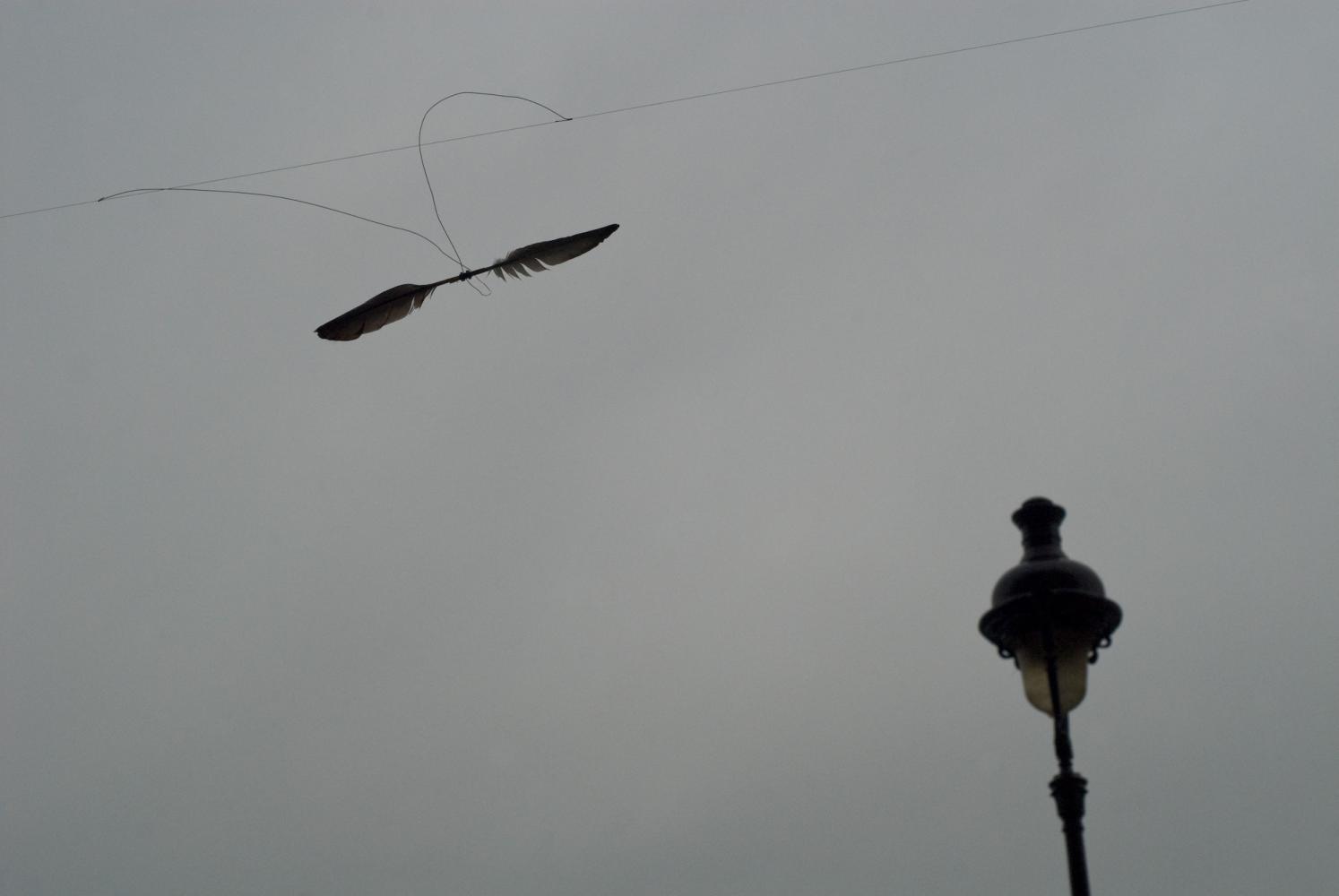 Sur un ciel gris sombre, près d'un réverbère, deux plumes attachées ensemble et suspendues à un fil de fer semblent former deux ailes. Paris, août 2010.