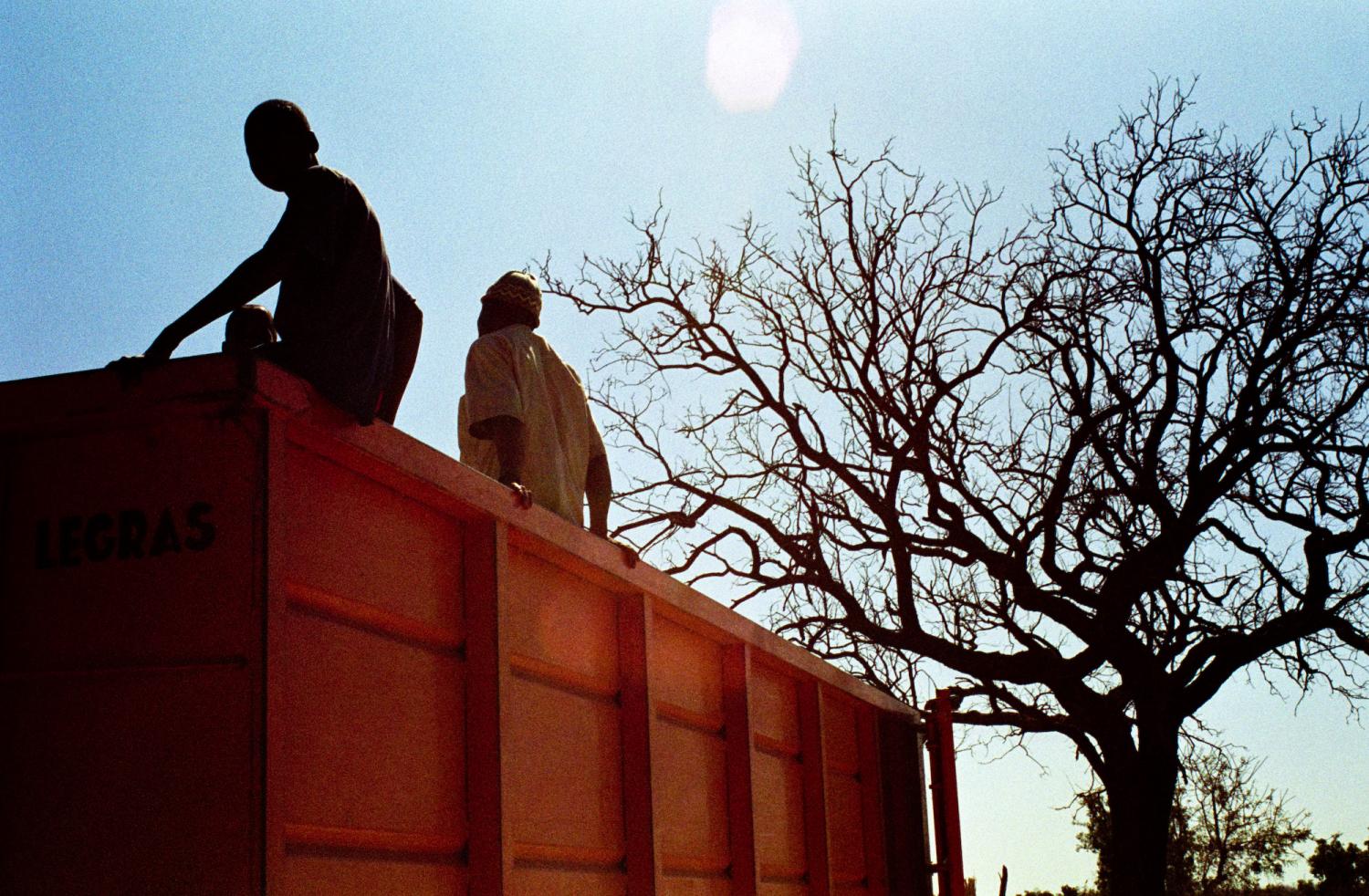 Silhouettes de deux hommes assis sur le rebord d'une benne orange, près d'un grand arbre sans feuilles. Manda Nkholi, Sénégal, janvier 2008.