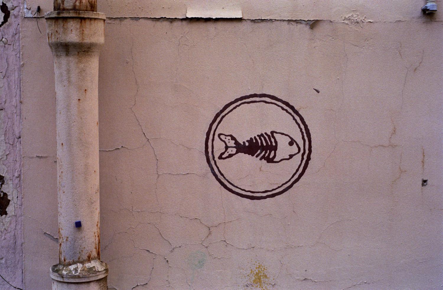 Graffiti sur un mur rose : une arête de poisson dans un cercle. Paris, printemps 2006.